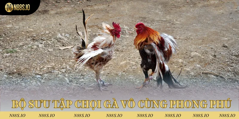 Bộ sưu tập loại hình chọi gà vô cùng phong phú