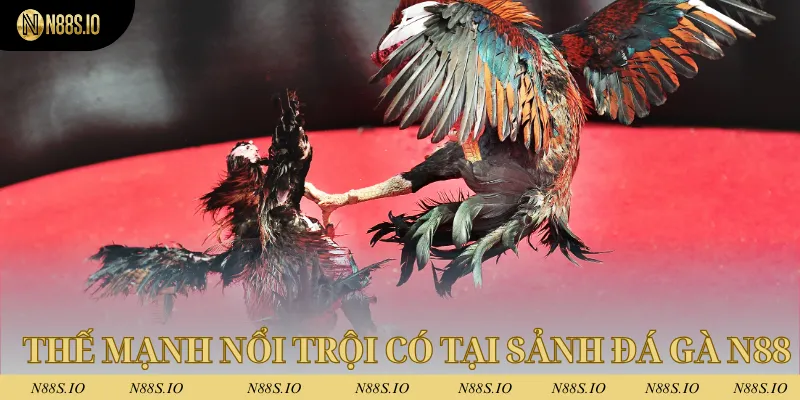 Thế mạnh nổi trội chỉ có tại sảnh đá gà N88